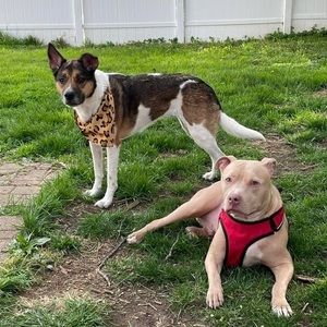 Meet your Posher, Hillary